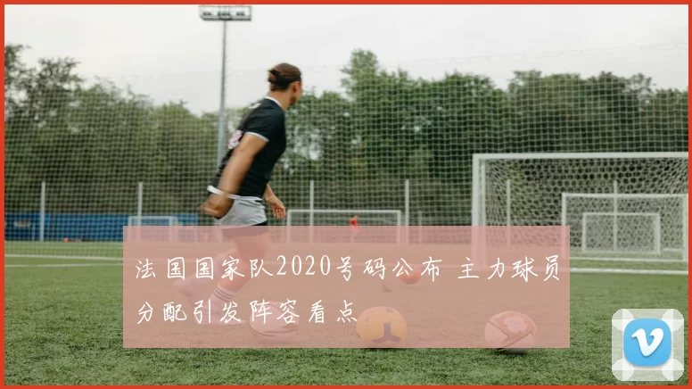 法国国家队2020号码公布 主力球员分配引发阵容看点