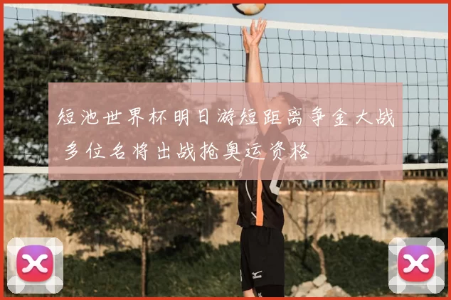 短池世界杯明日游短距离争金大战 多位名将出战抢奥运资格