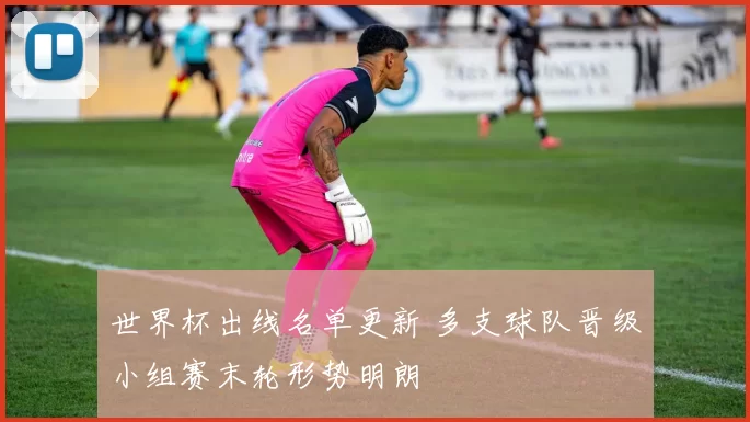 世界杯出线名单更新 多支球队晋级小组赛末轮形势明朗