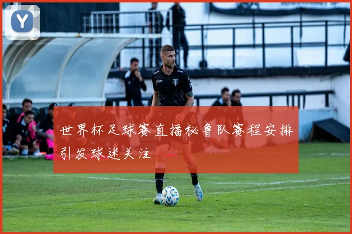 世界杯足球赛直播秘鲁队赛程安排引发球迷关注